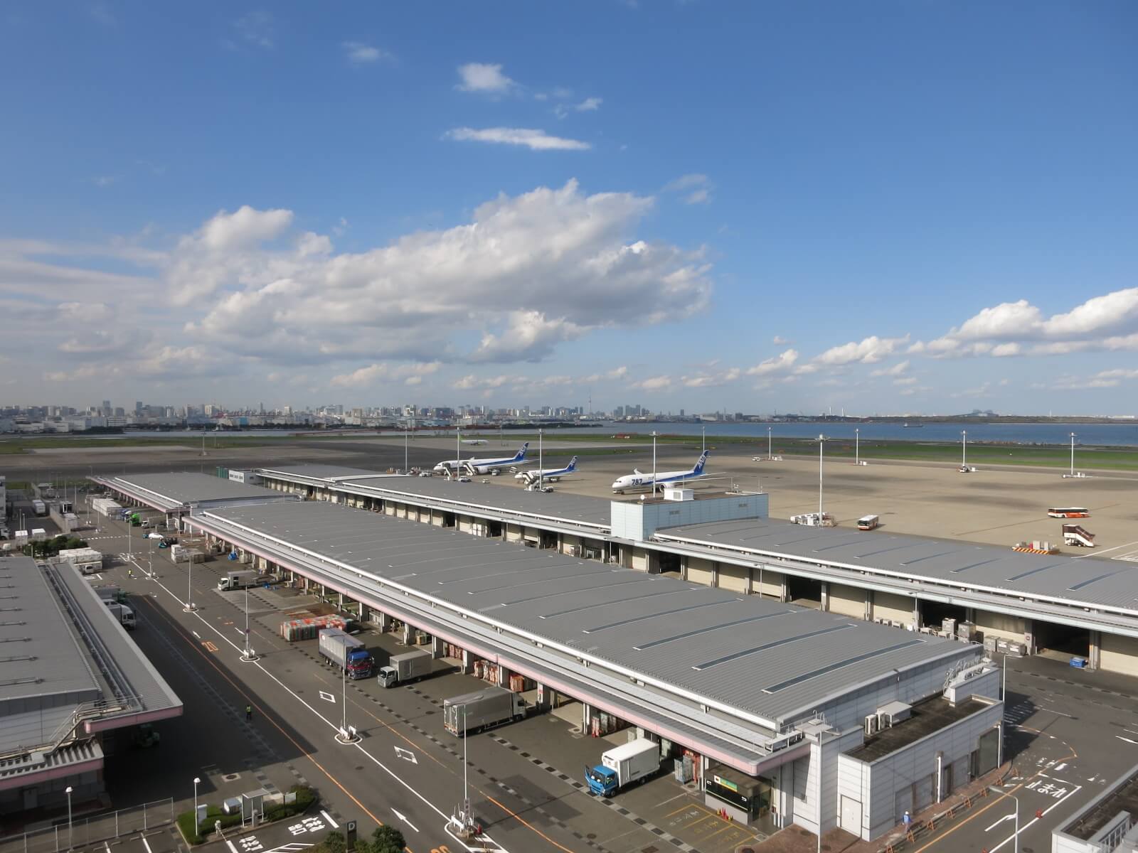 East Side Air-Cargo Terminal Area (domestic cargo)