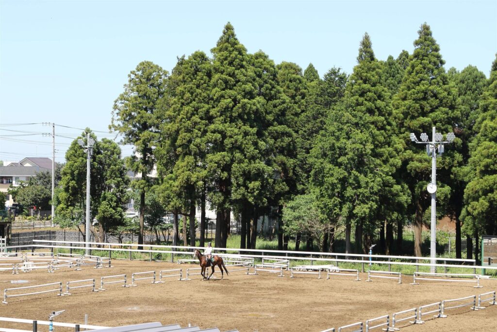 乗馬クラブ クレイン千葉 富里